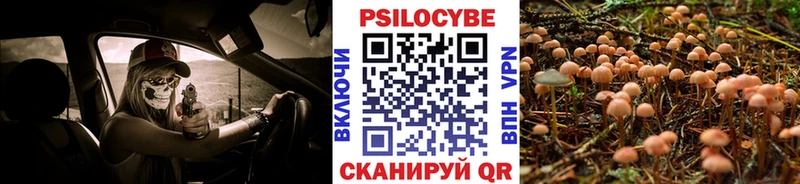 Купить закладки  Тобольск  Галлюциногенные грибы мухоморы 